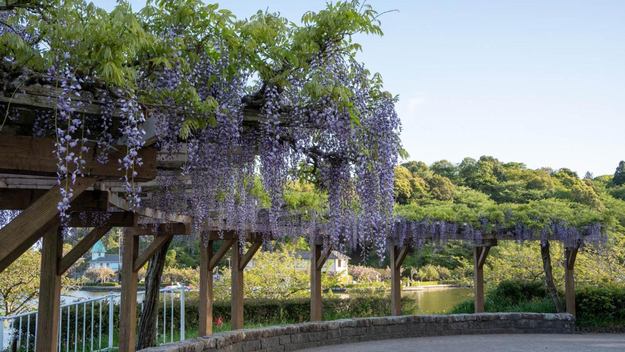 Toyoko Inn Shizuoka Fujieda Eki Kita Guchi Kültér fotó